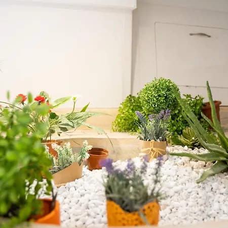 Welcomely - La Casetta Del Centro Apartment Olbia