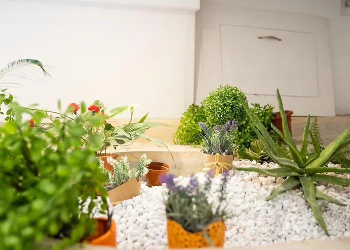 Welcomely - La Casetta Del Centro Апартаменти Ольбія